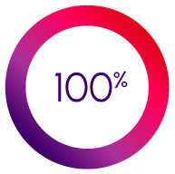 pie chart showing 100%